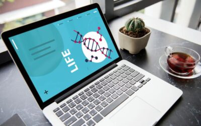 La importància del SEO a la indústria química